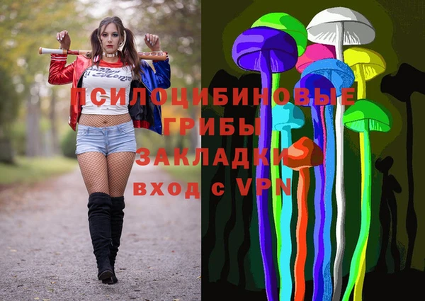 мдпв Гусев
