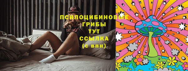 скорость Алзамай
